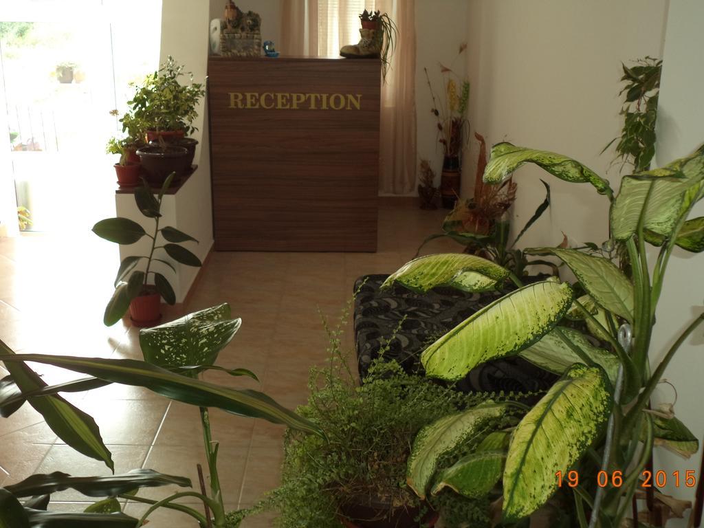 Sveti Georgi Guest House Созополь Екстер'єр фото